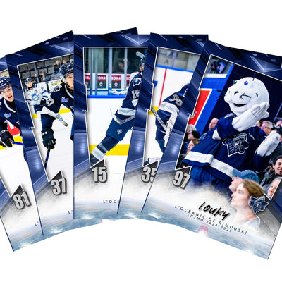 Carte des joueurs 2024-2025